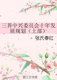 三界中興委員會十年發展規劃(上部)